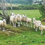 Braffin @ Fellside Farm, Pennington, Ulverston * Pennington