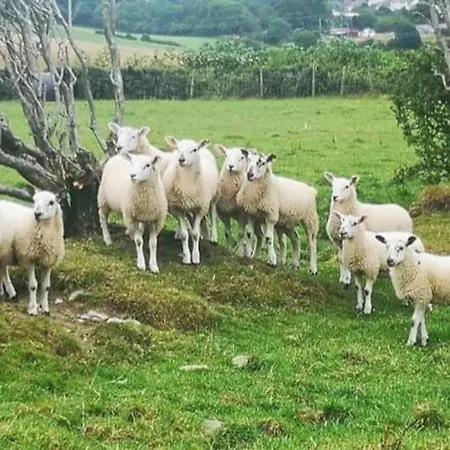 Braffin @ Fellside Farm, Pennington, Ulverston * Pennington