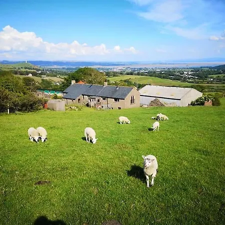 Braffin @ Fellside Farm, Pennington, Ulverston *