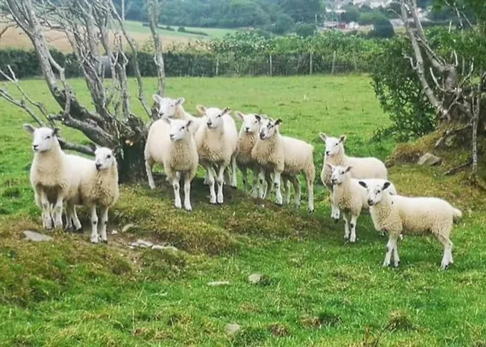 Braffin @ Fellside Farm, Pennington, Ulverston * Pennington