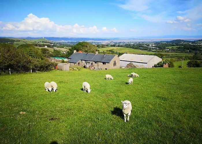 Braffin @ Fellside Farm, Pennington, Ulverston *